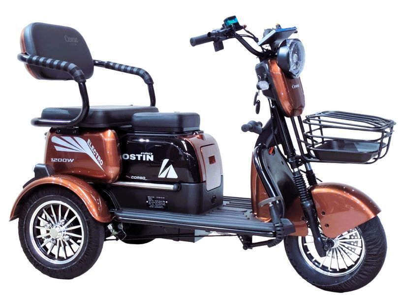 Електричний трицикл Corso &laquo;Ostin Pro&raquo;  350 фото